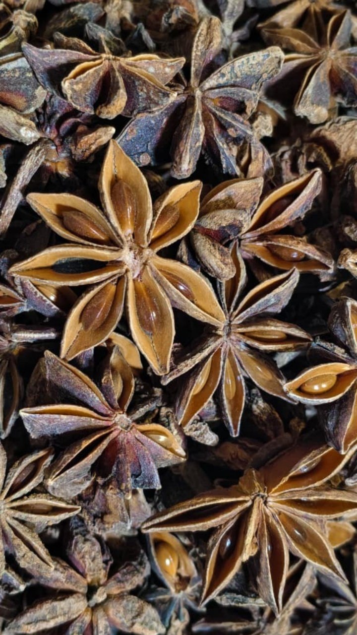 Star anise 100gm