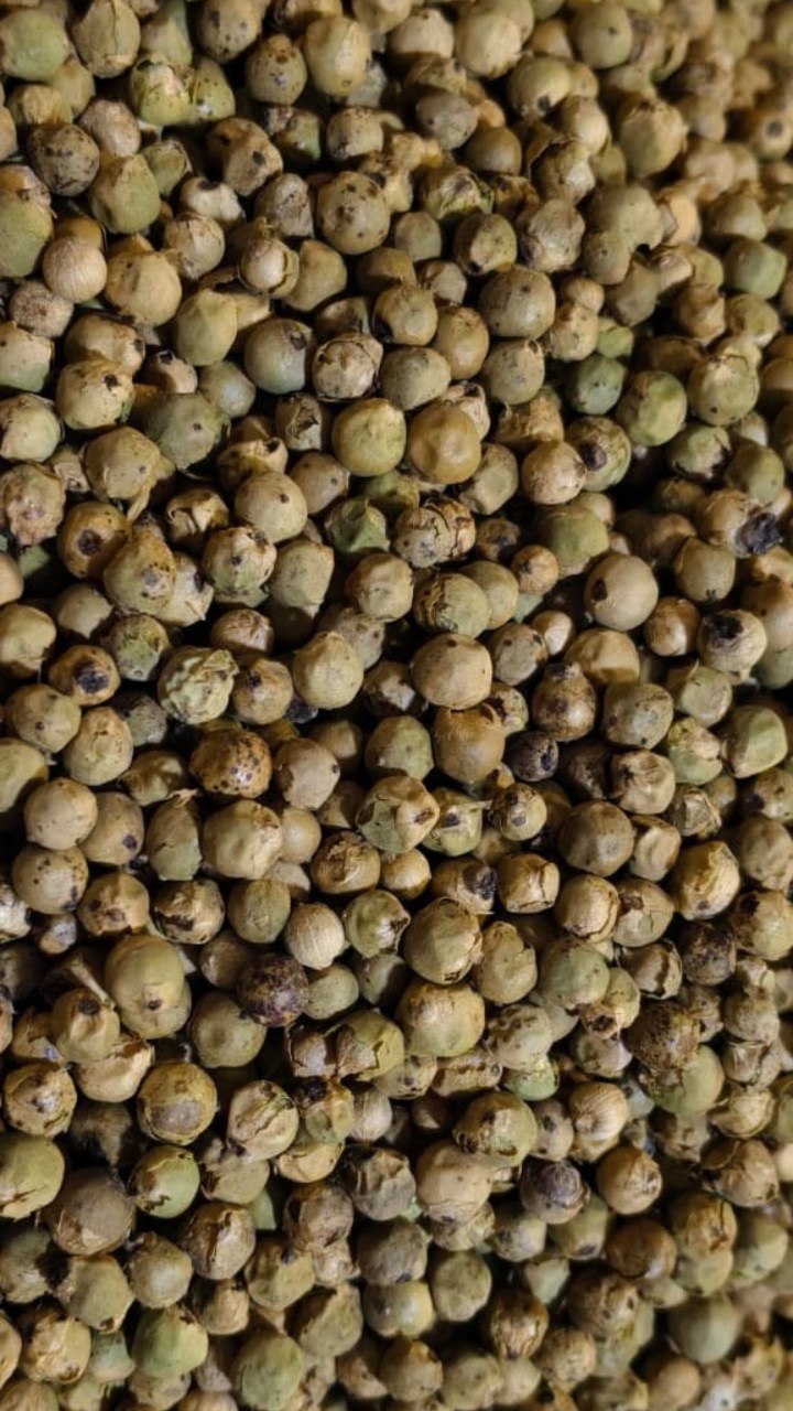 Green pepper 100gm