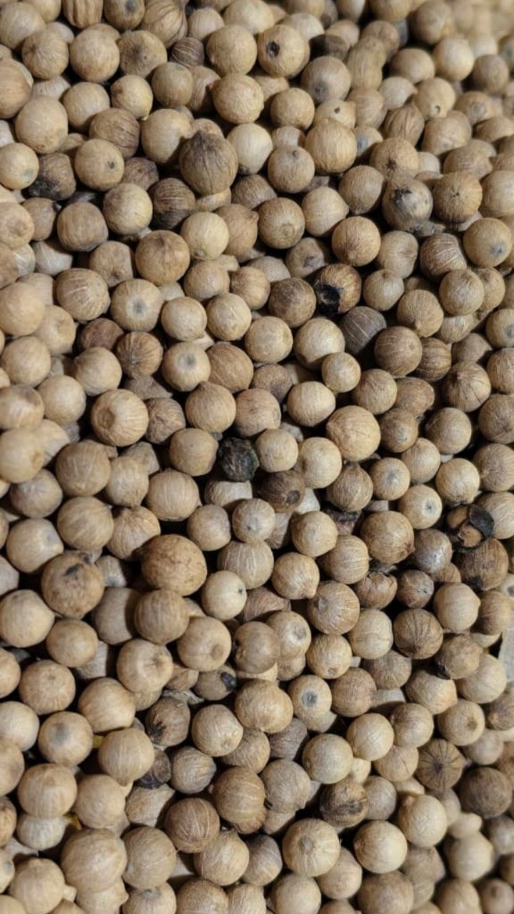 White pepper 100gm