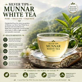 Silver Tips Munnar White Tea (Tin)