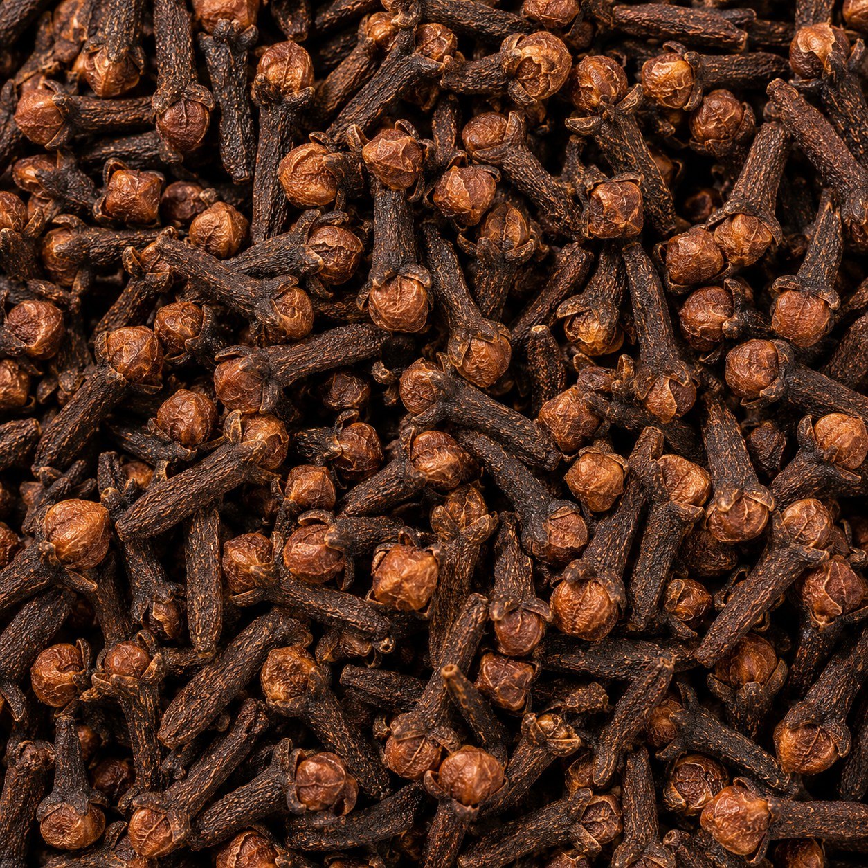 Clove