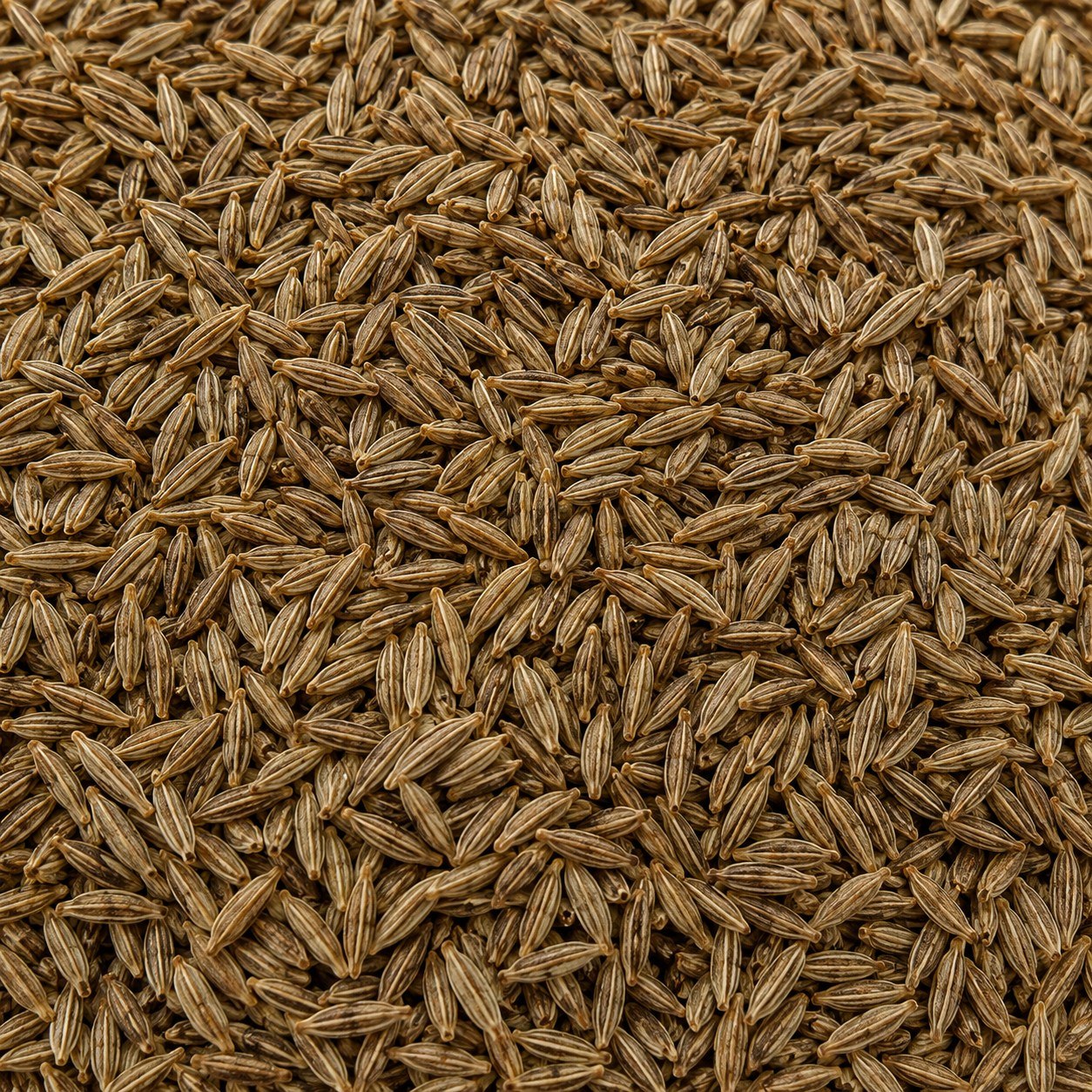 Cumin