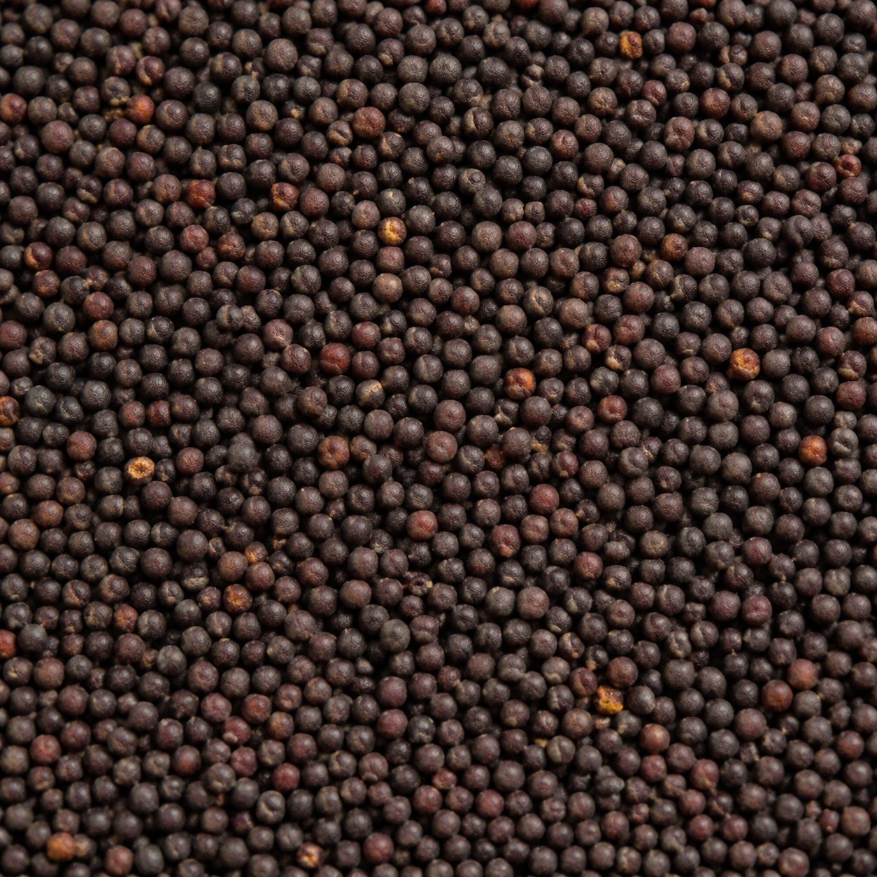Mustard seed