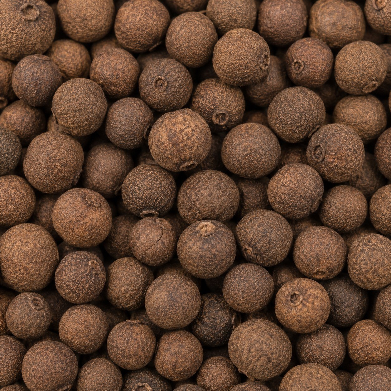 Allspice