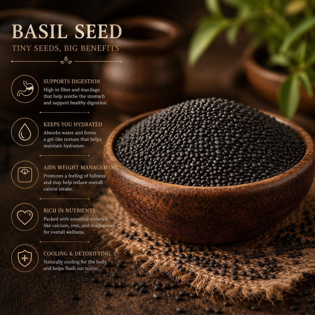 Basil Seed