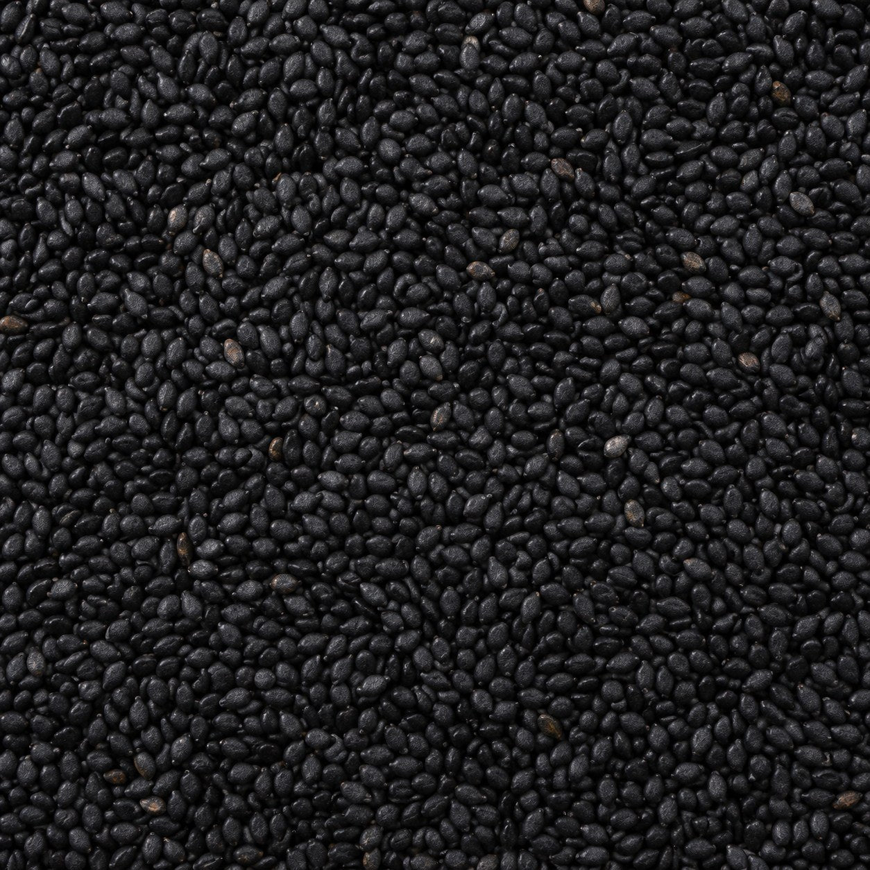 Black Sesame Seeds