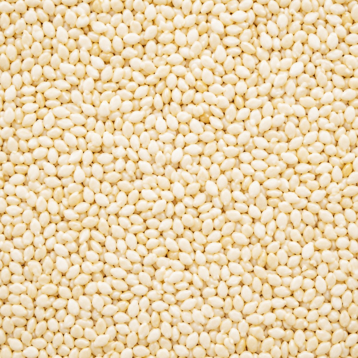 White Sesame Seeds