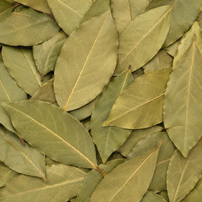 Bay Leaf