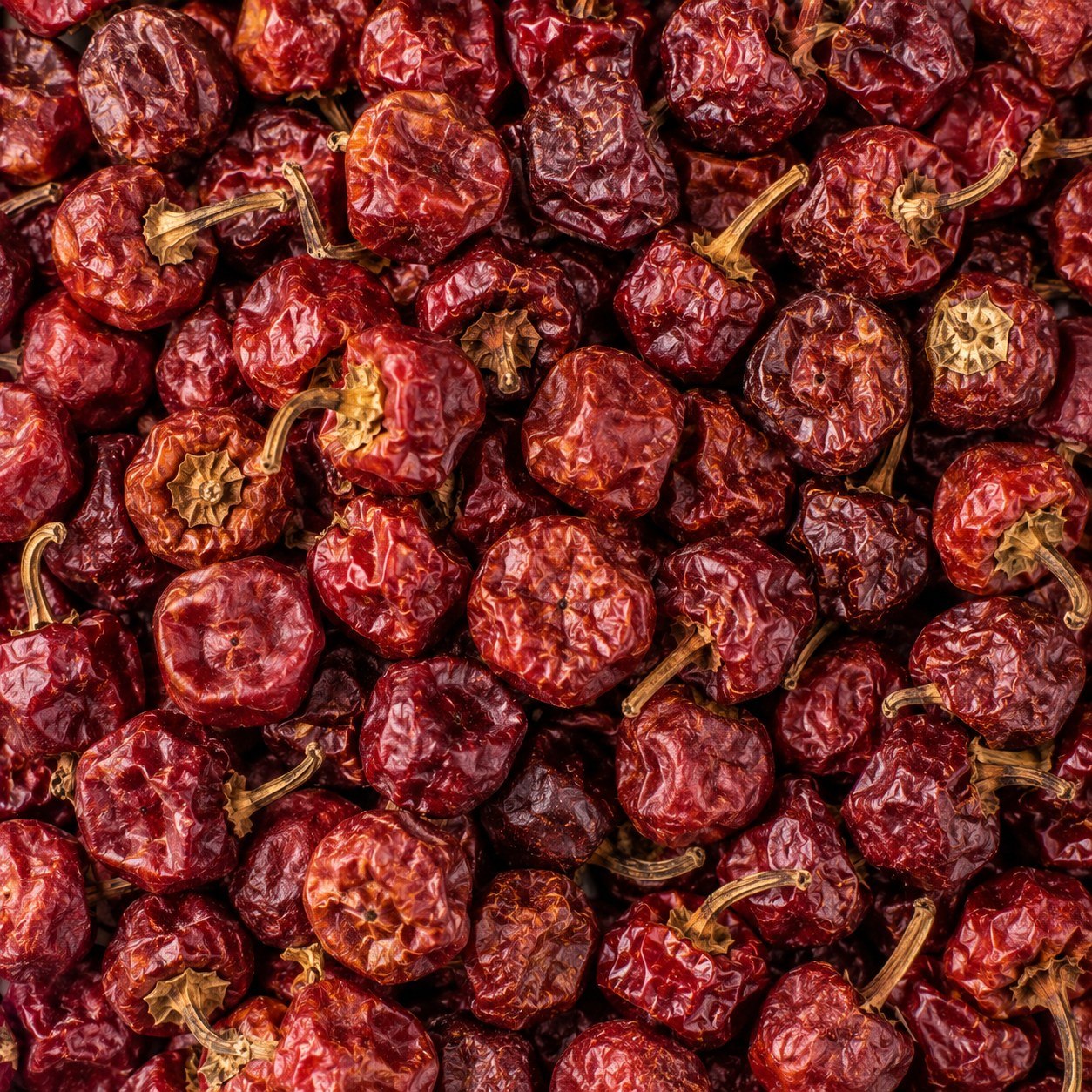 Bold Chili