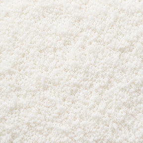 Coconut Powder
