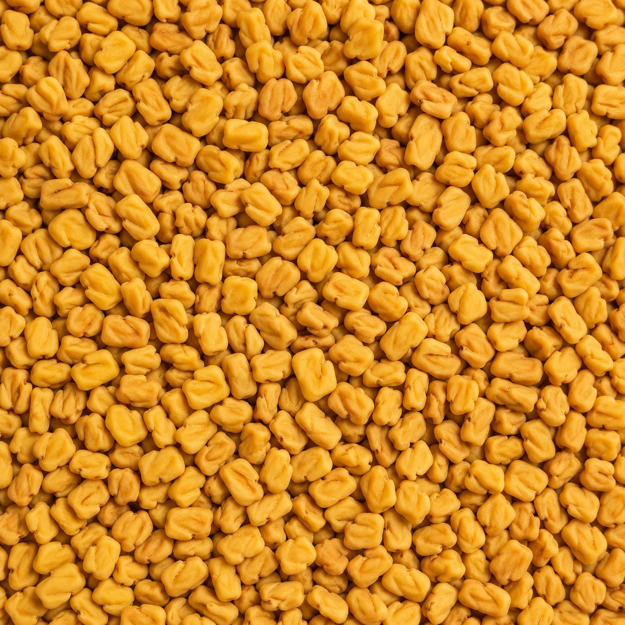 Fenugreek