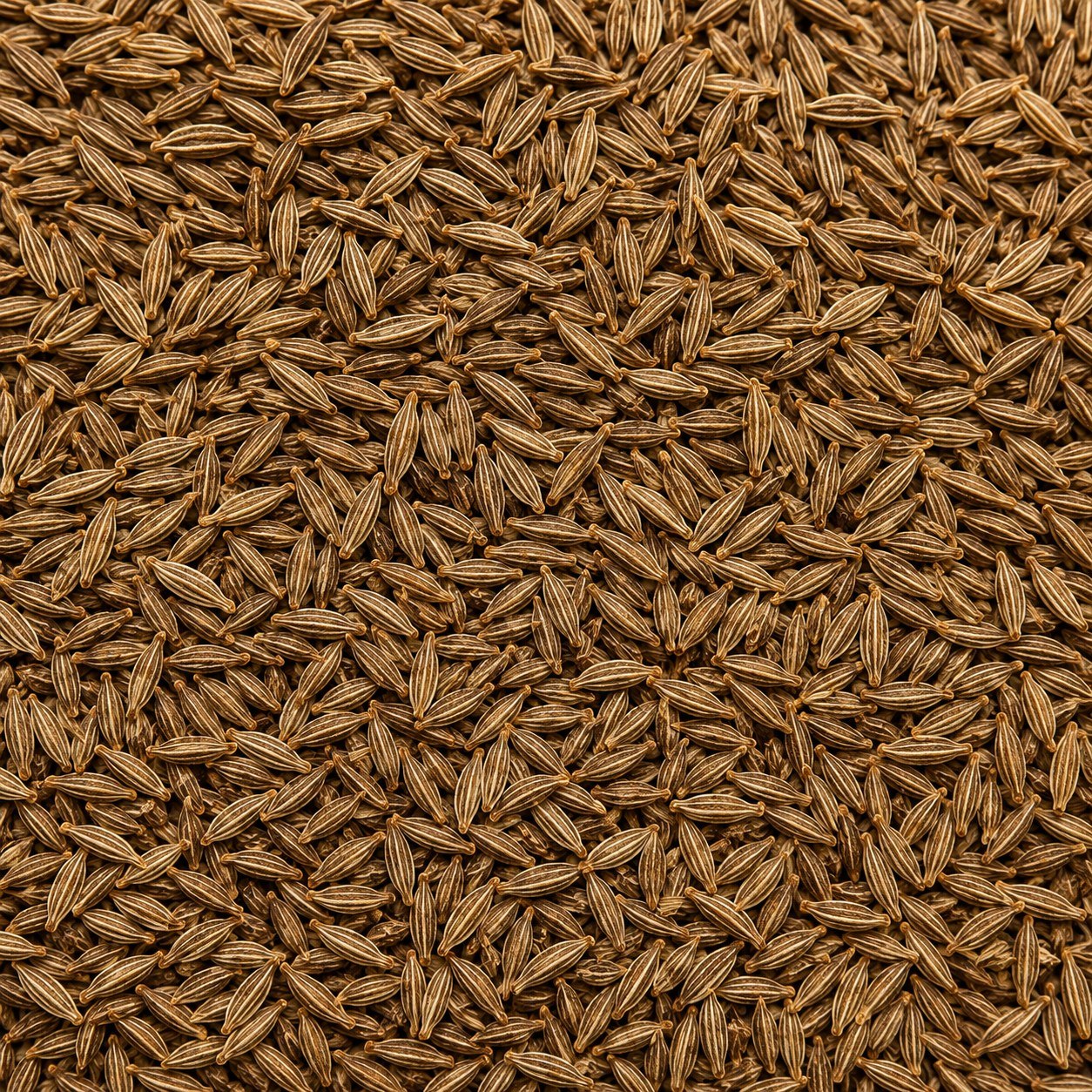 Shajeera (Black Cumin)