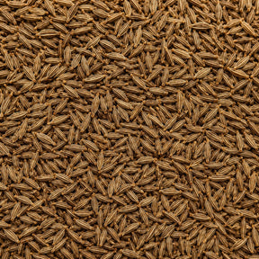 Shajeera (Black Cumin)