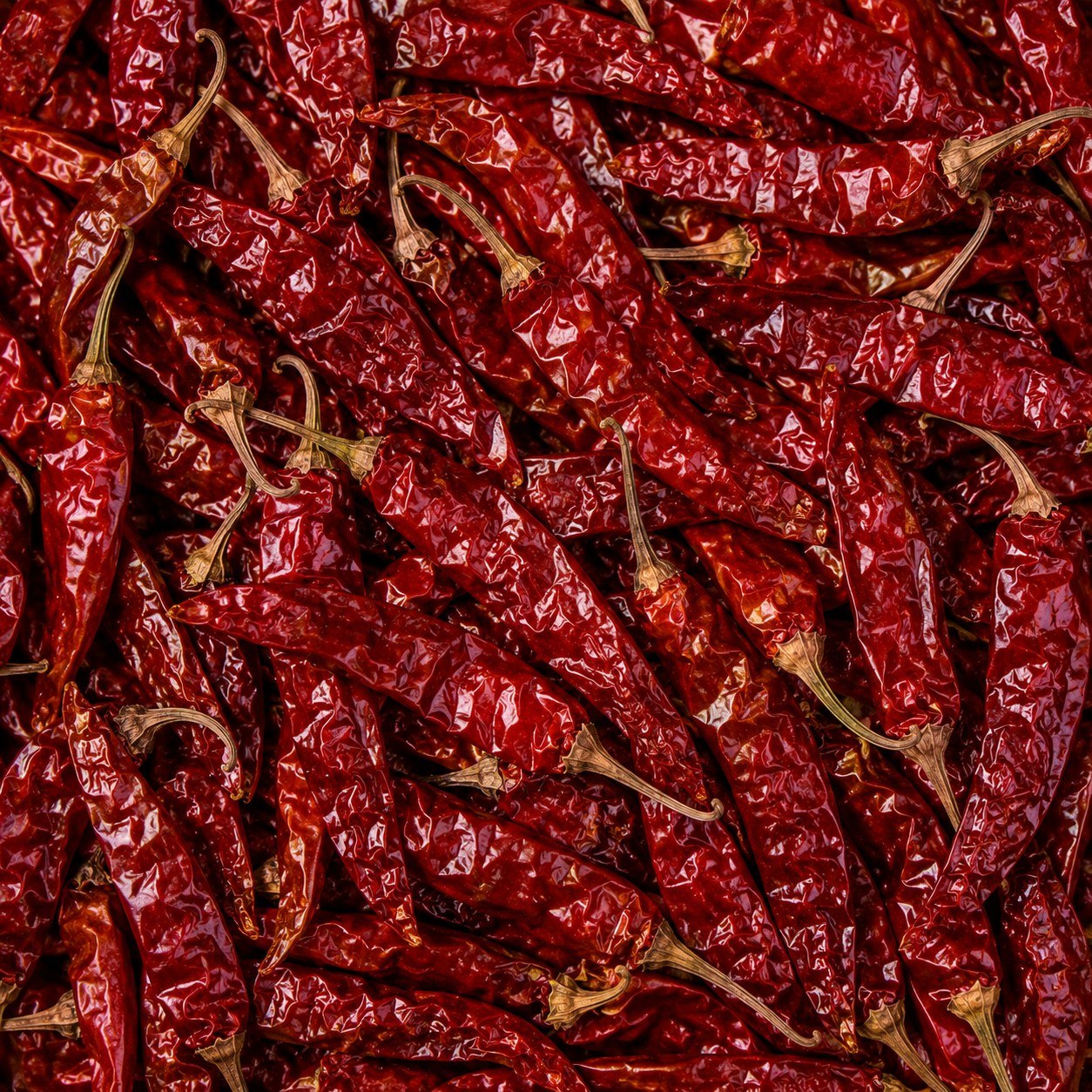Dry Red Chilli
