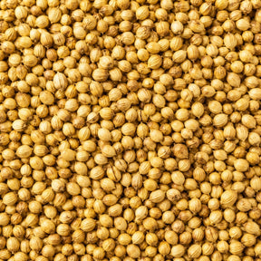 Coriander Seeds