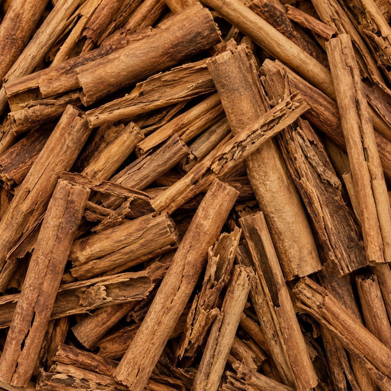 Grade 1 Cinnamon