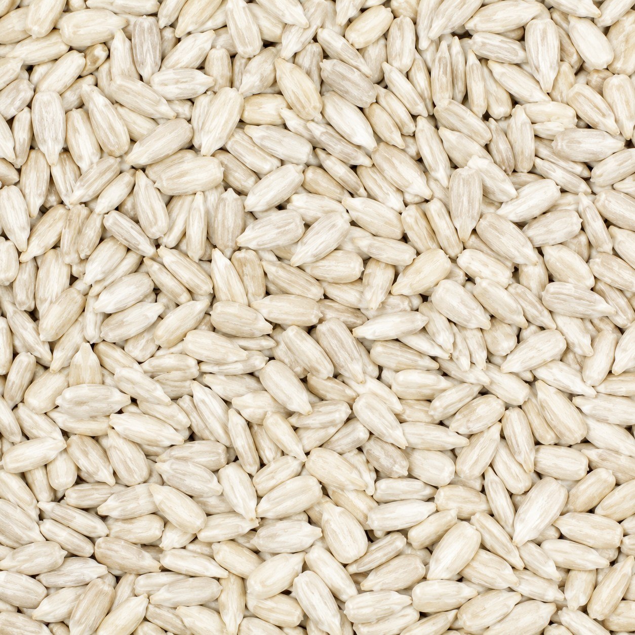 Sunflower Seeds