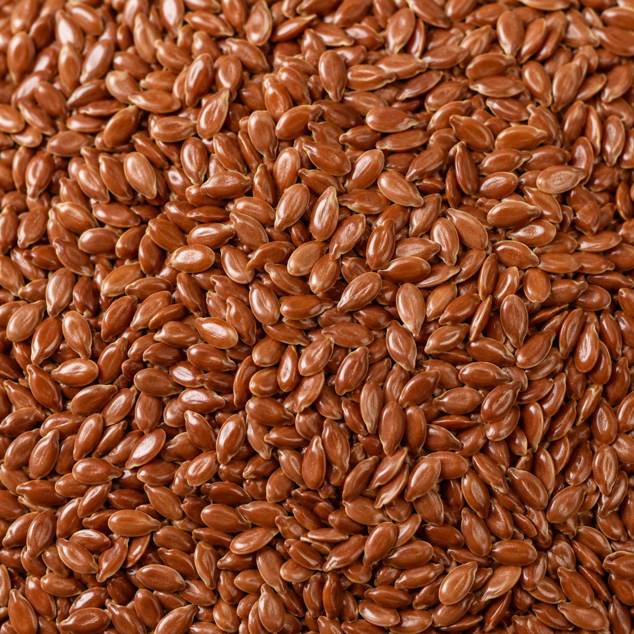 Flax Seeds