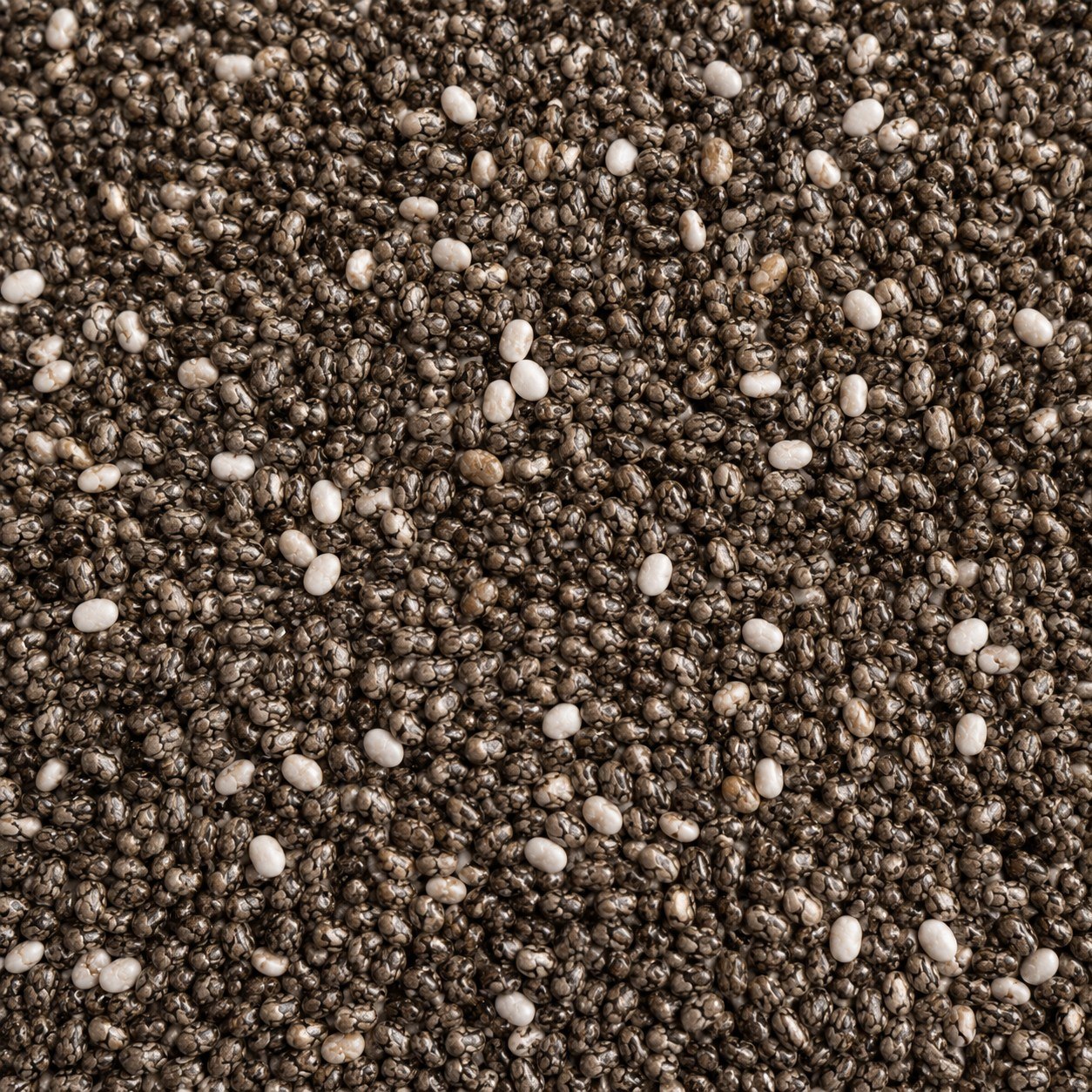 Chia Seeds