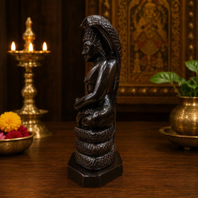 Bronze-Finished Meditating Sage with Serpent Canopy